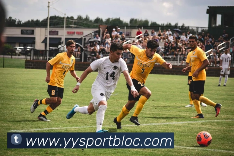 易游体育APP 体育赛事宣传图